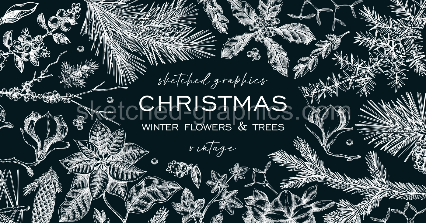 Christmas background. Winter flowers frame design on chalkboard. Conifer tree, evergreen plant, berry sketches. Hand drawn vector illustration. NOT AI generated Illustration